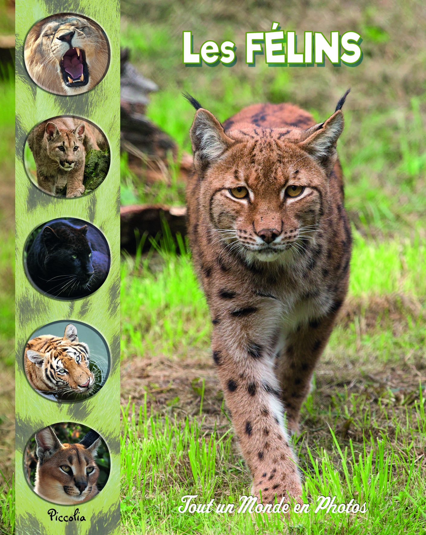 Les félins