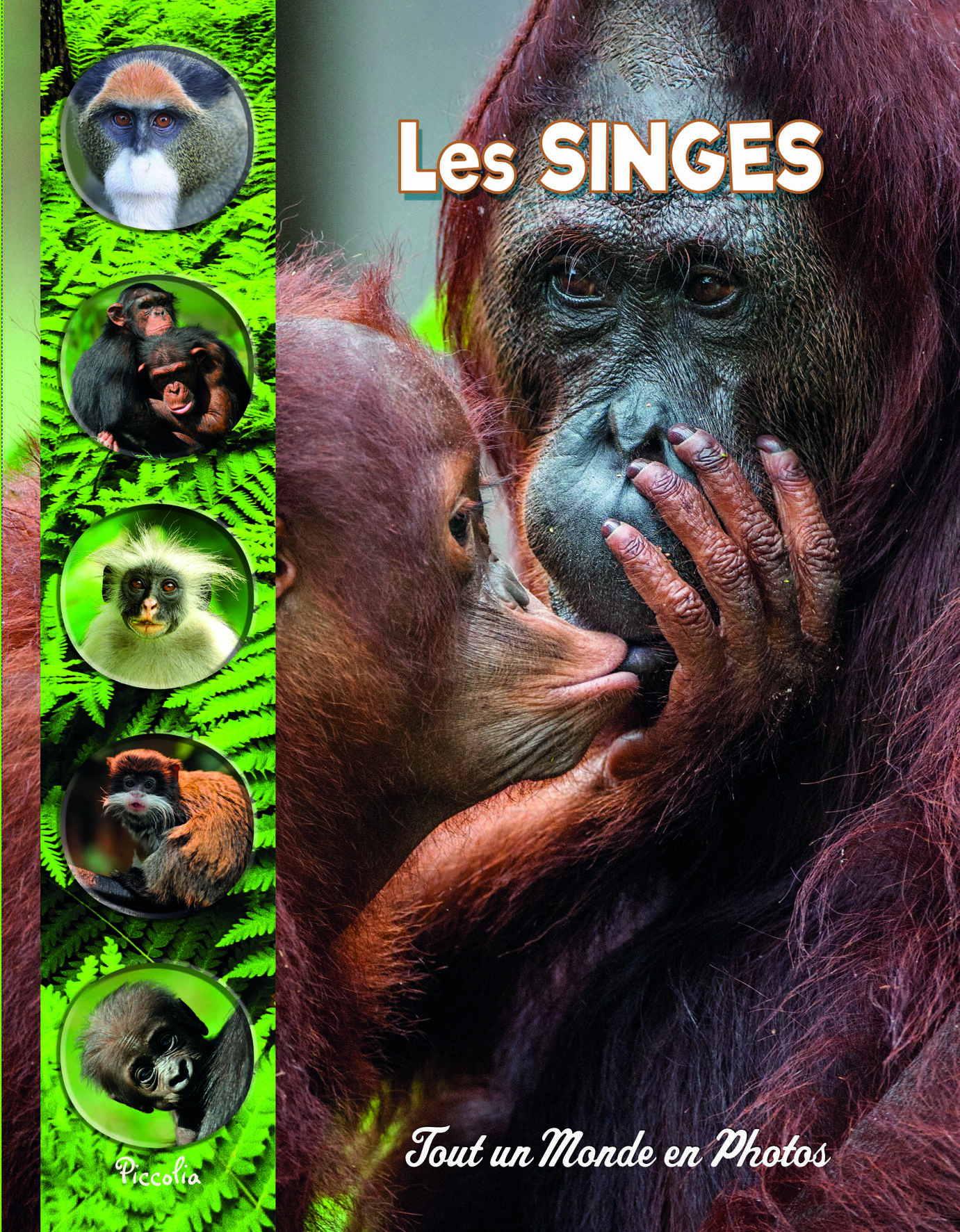 Les singes