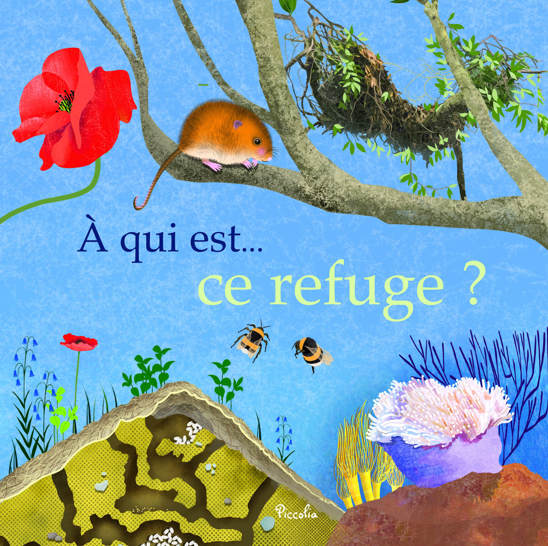 A qui est... ce refuge ?