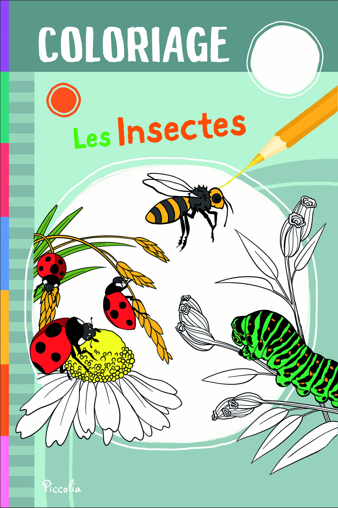 Les insectes - Coloriage