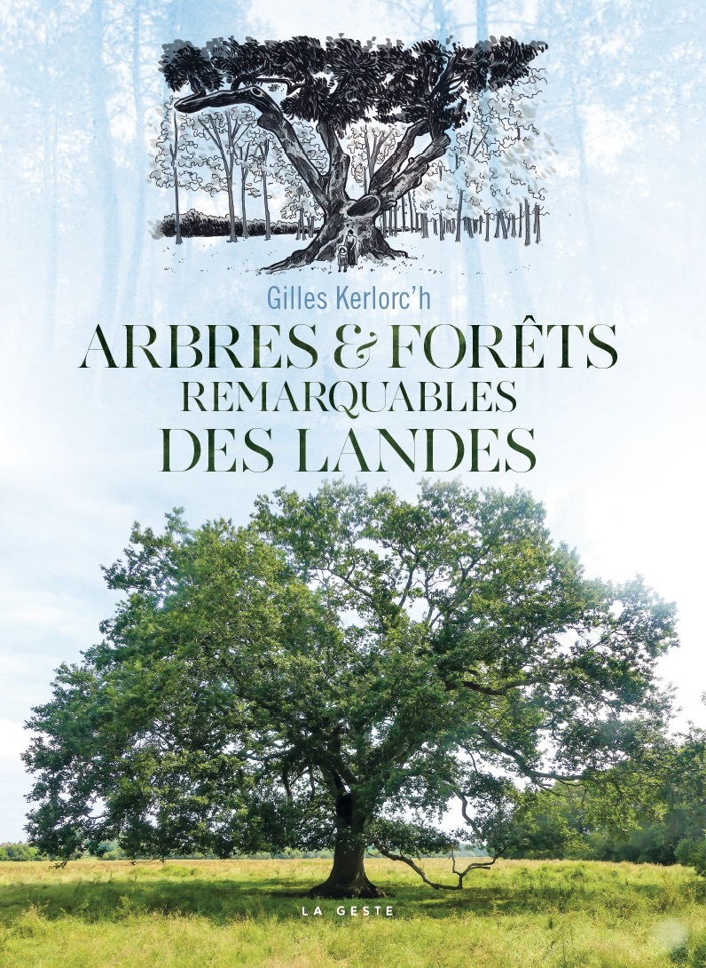 ARBRES ET FORETS REMARQUABLES DES LANDES