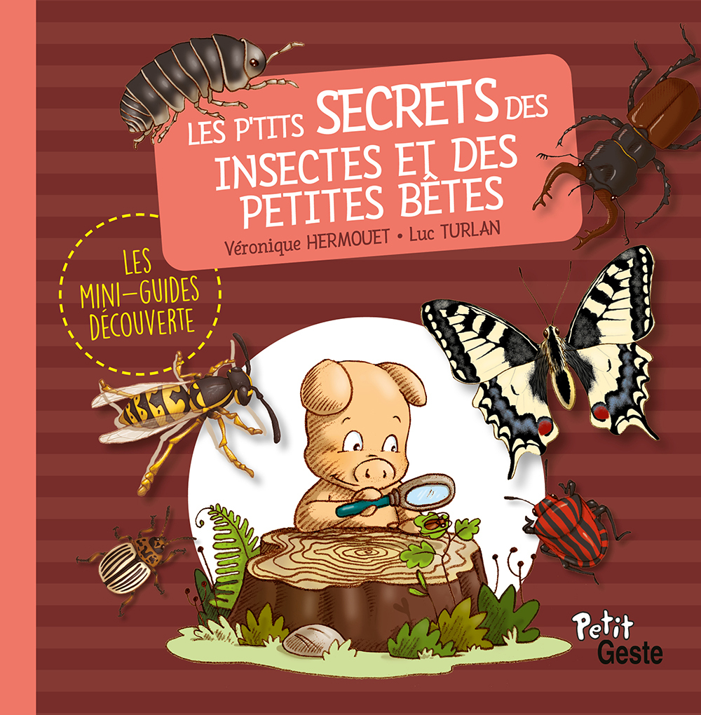 P'TITS SECRETS DES INSECTES ET PETITES BETES (MINI-GUIDE DECOUVERTE-REEDITION)