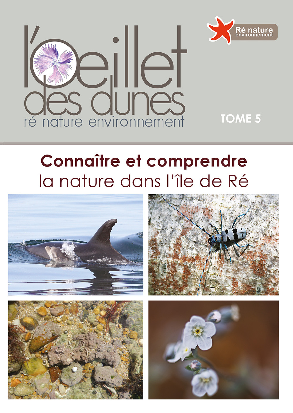 CONNAITRE ET COMPRENDRE LA NATURE DANS L'ILE DE RE (GESTE) -OEILLET DES DUNES T5