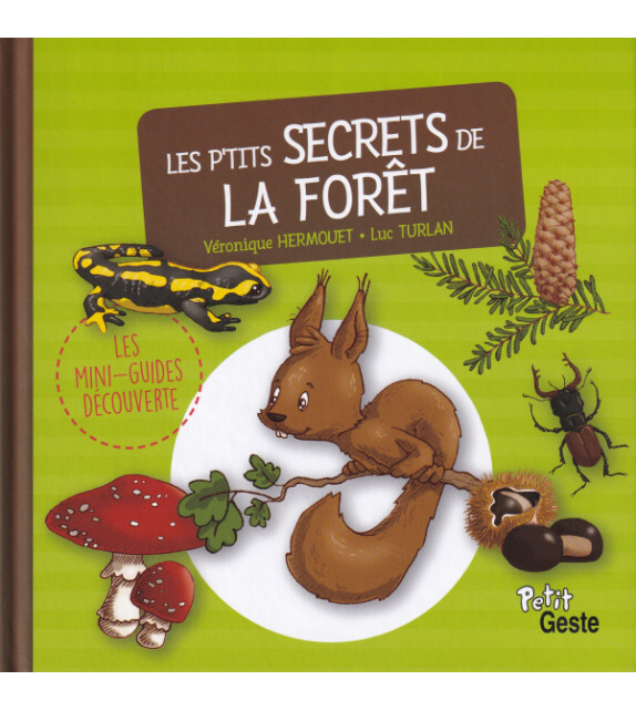 P'TITS SECRETS DE LA FORET (MINI-GUIDE DECOUVERTE) REEDITION