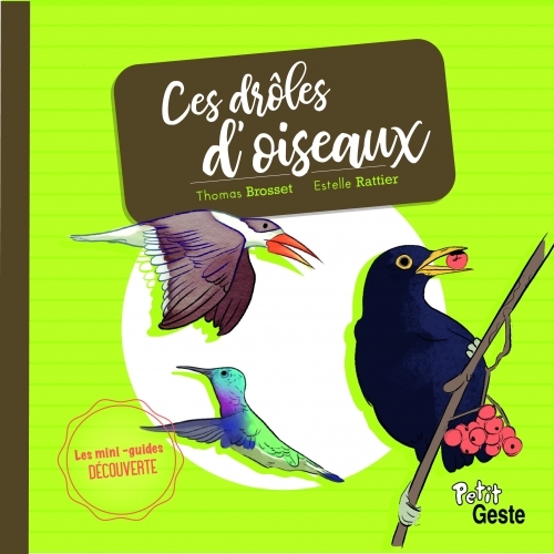 LES P'TITS SECRETS DES DROLES D'OISEAUX