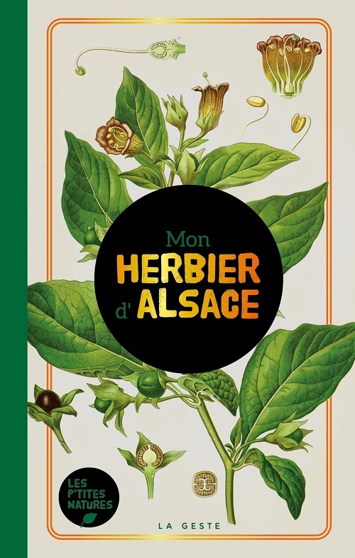 MON HERBIER D'ALSACE