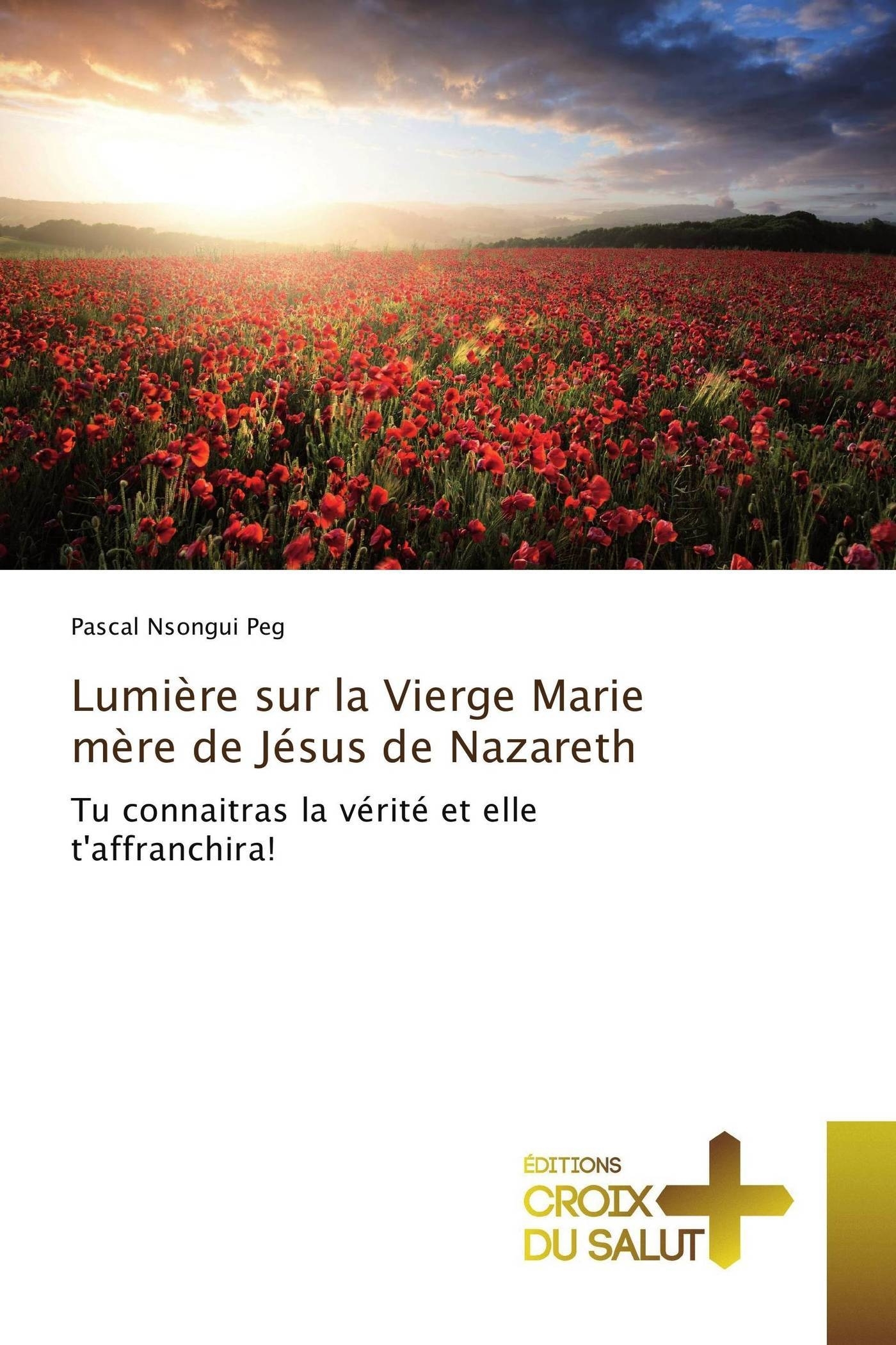 Lumière sur la vierge marie mère de jésus de nazareth