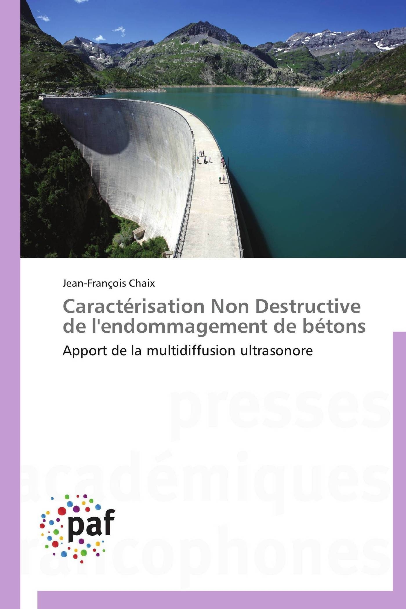 Caractérisation non destructive de l'endommagement de bétons