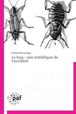 Le bug : une esthétique de l'accident