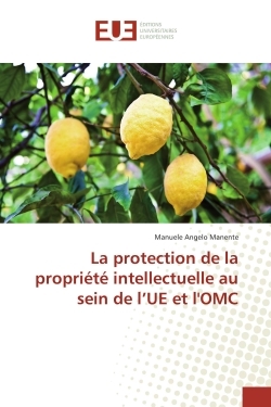La protection de la propriété intellectuelle au sein de l'UE et l'OMC