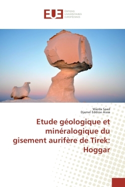 Etude geologique et mineralogique du gisement aurifere de Tirek: Hoggar