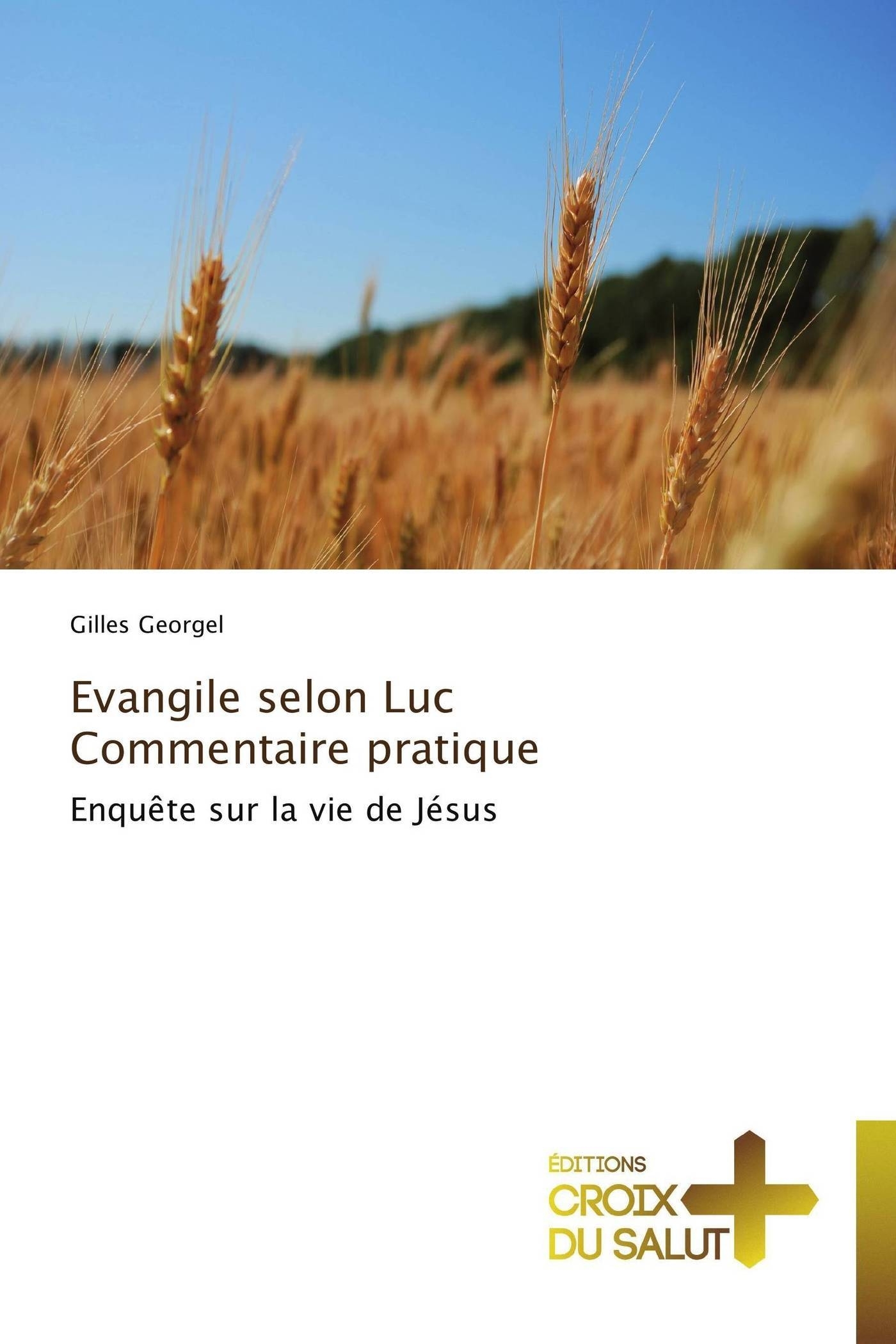 Evangile selon luc   commentaire pratique