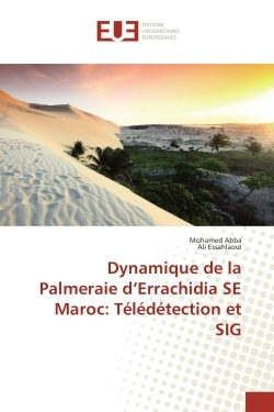 Dynamique de la Palmeraie d'errachidia Se Maroc: Teledetection et SIG