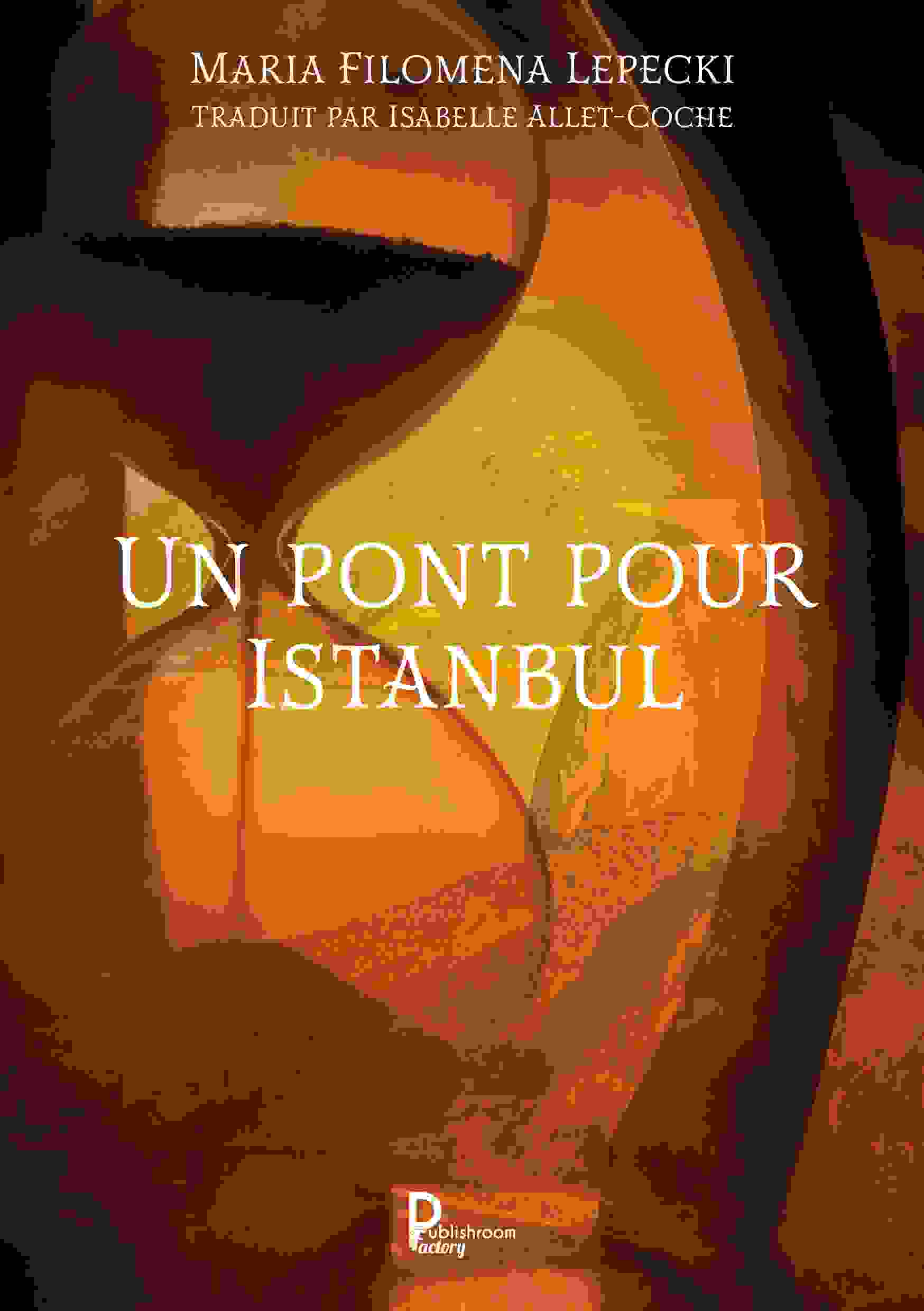 Un pont pour Istanbul