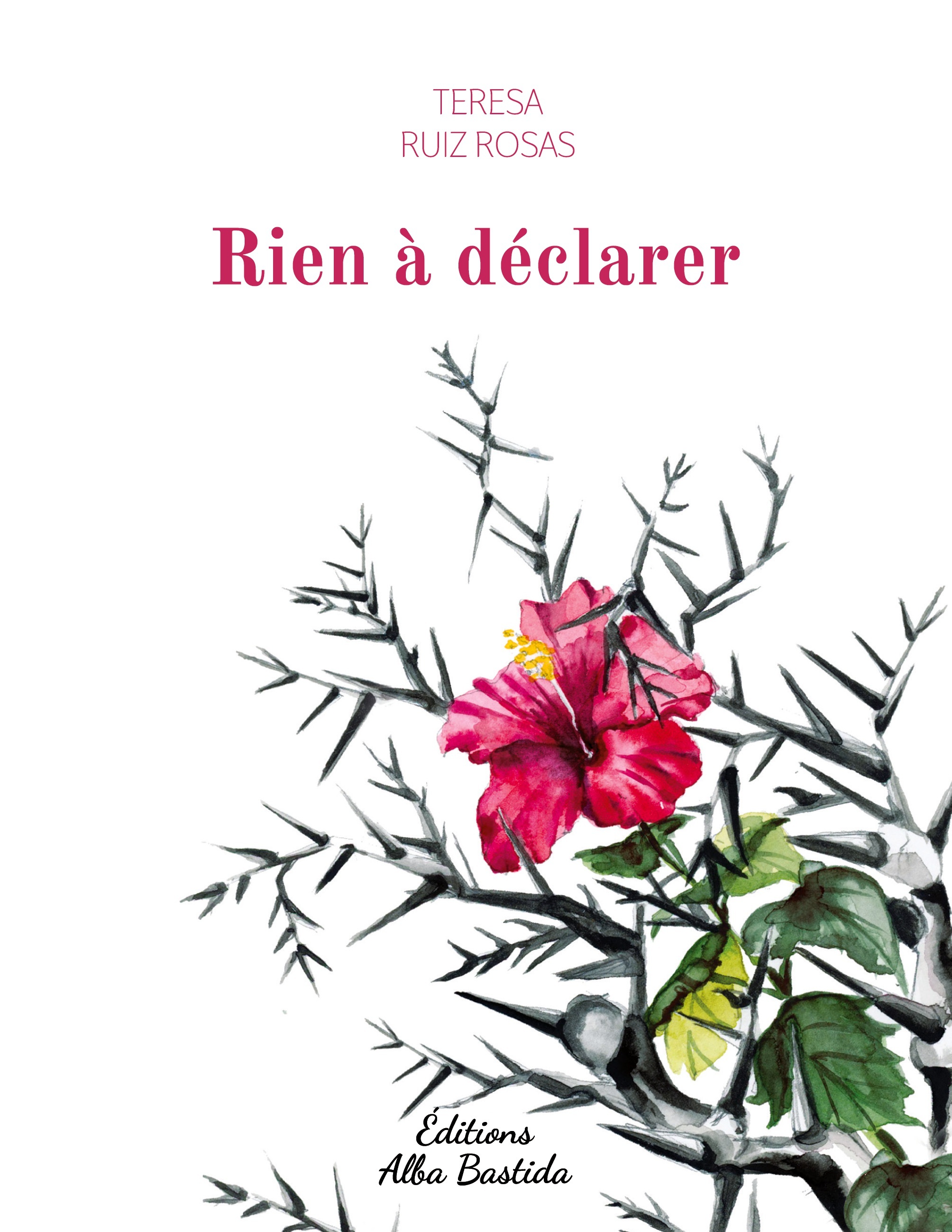 Rien à déclarer