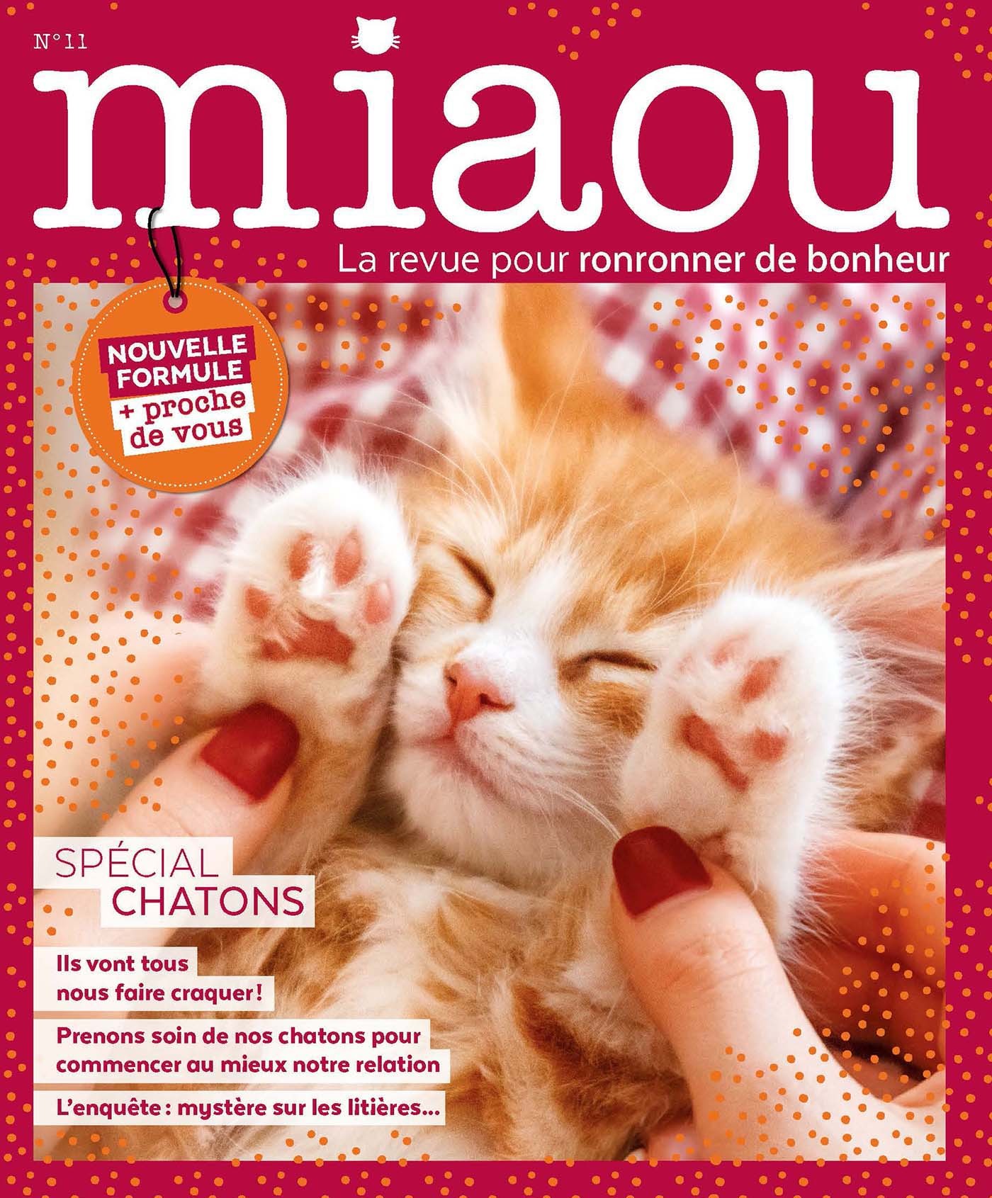 Miaou n°11 - spécial chatons