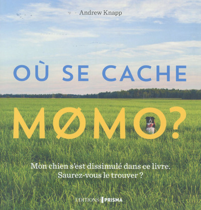 Où se cache Momo ?