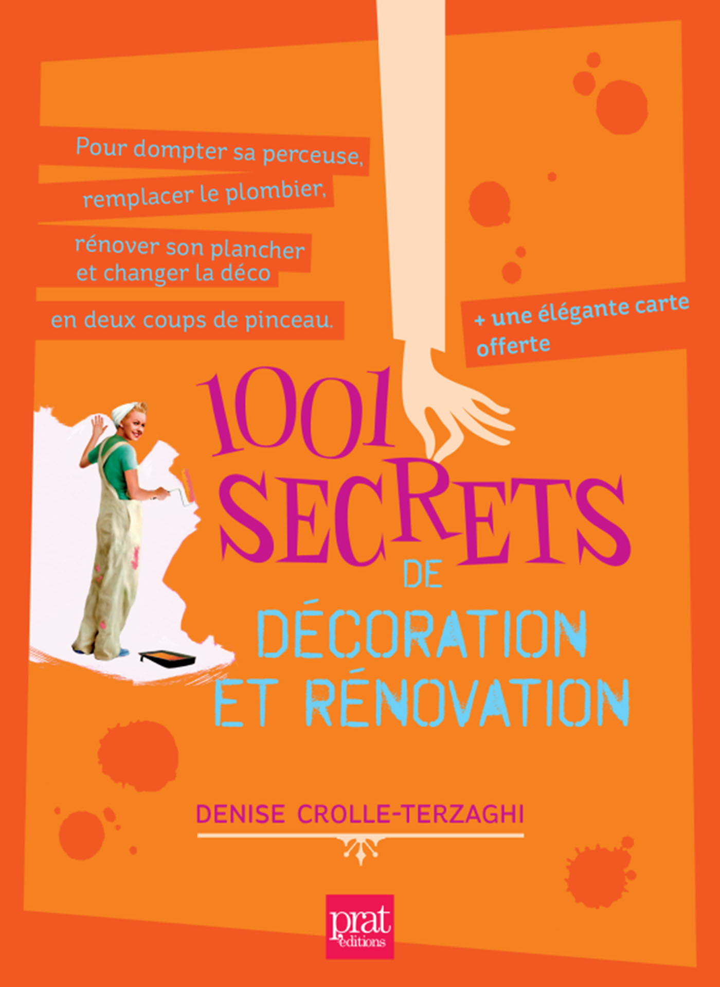1001 secrets de decoration et renovation ned