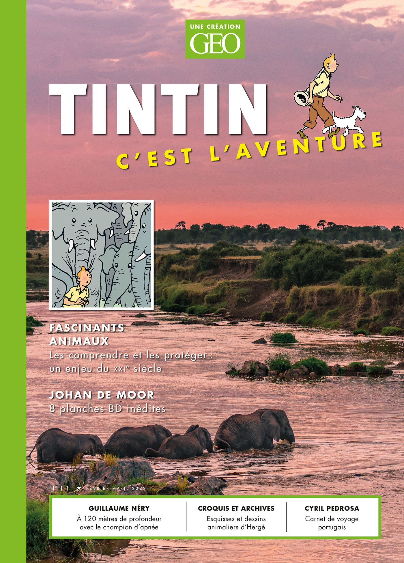 Tintin c'est l'aventure n°11 - Fascinants animaux