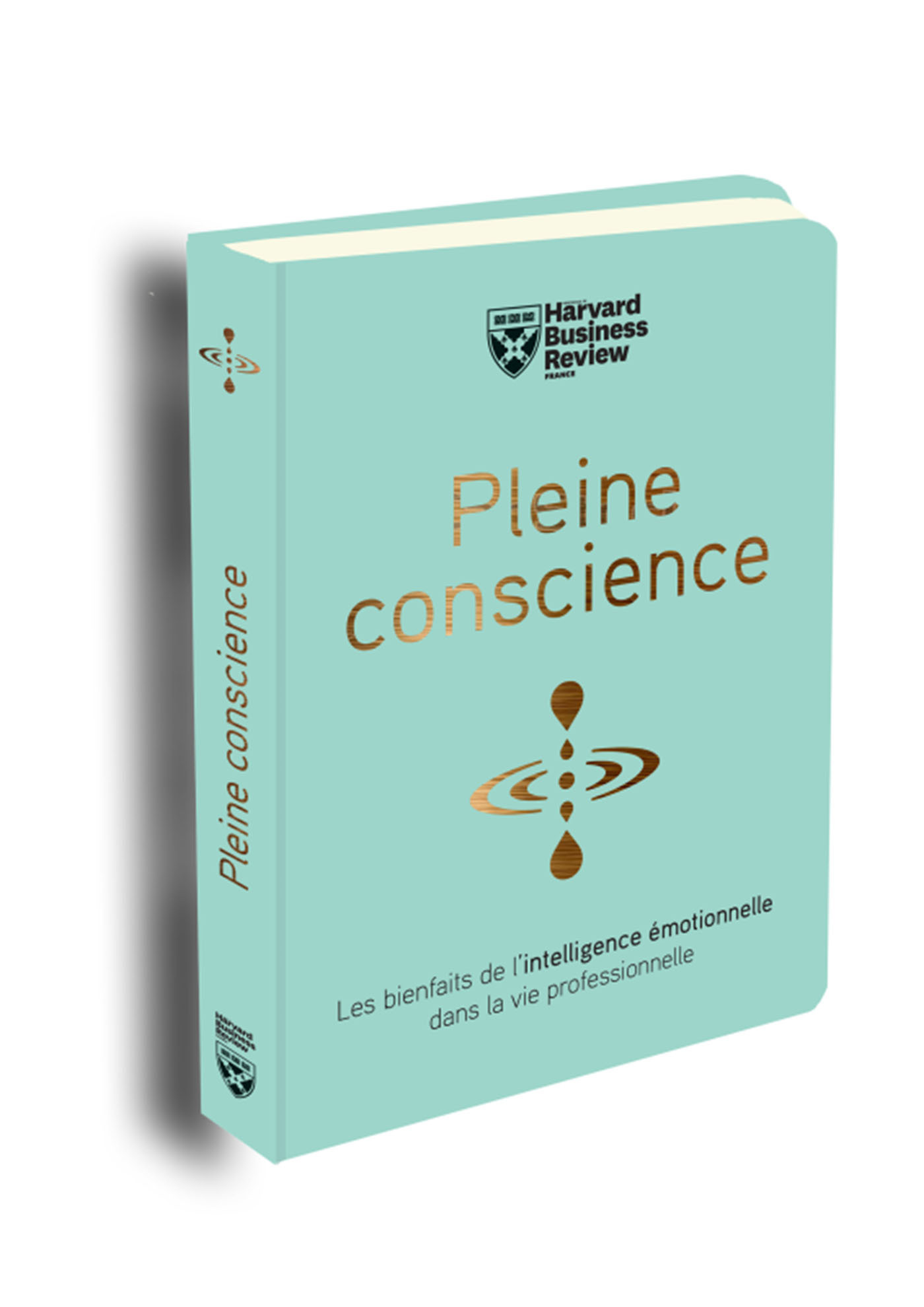 Pleine conscience