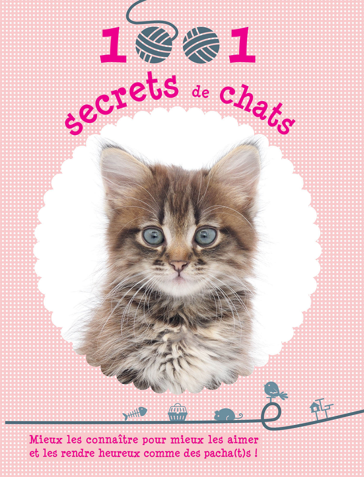 1001 secrets de chats