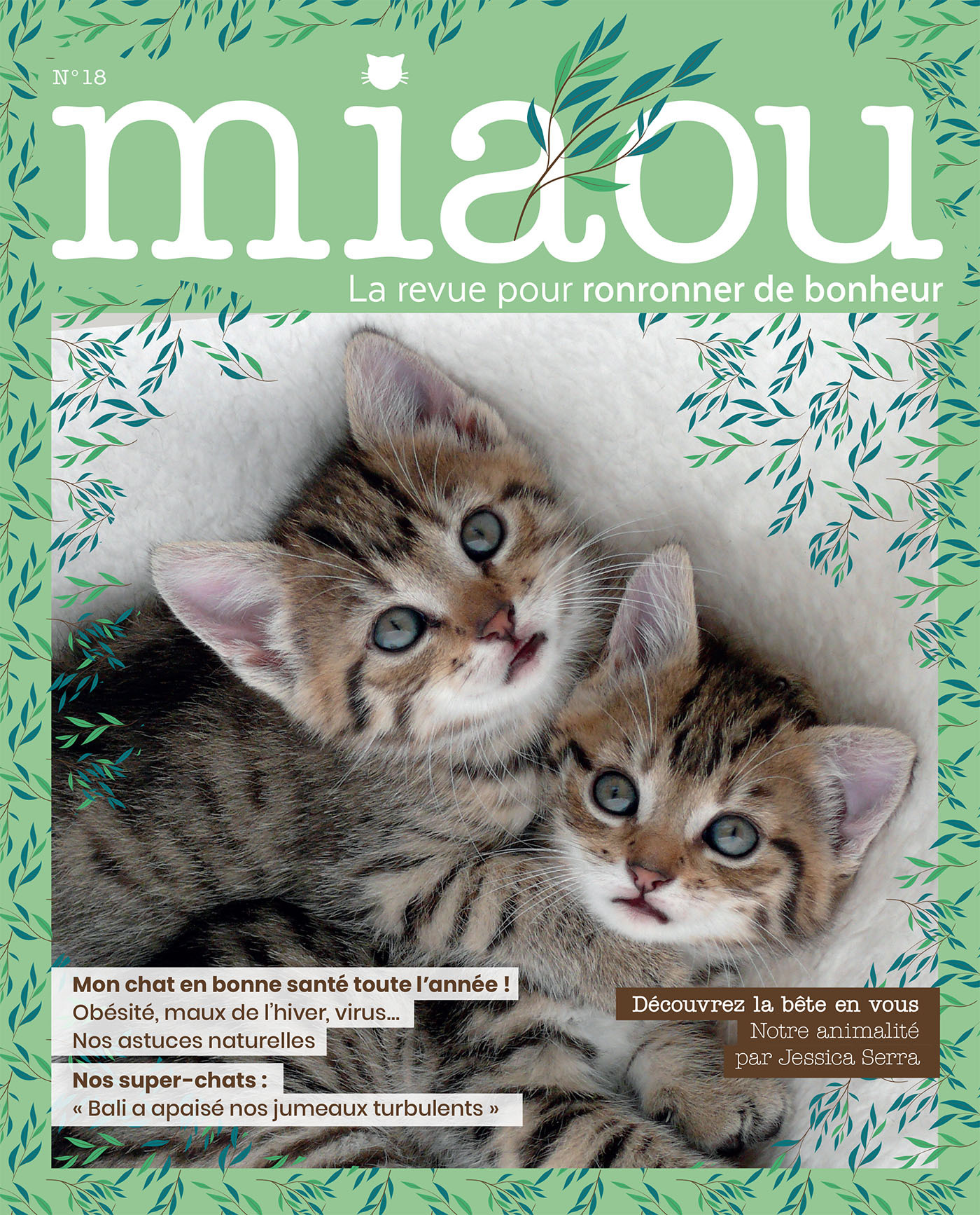 Miaou 18