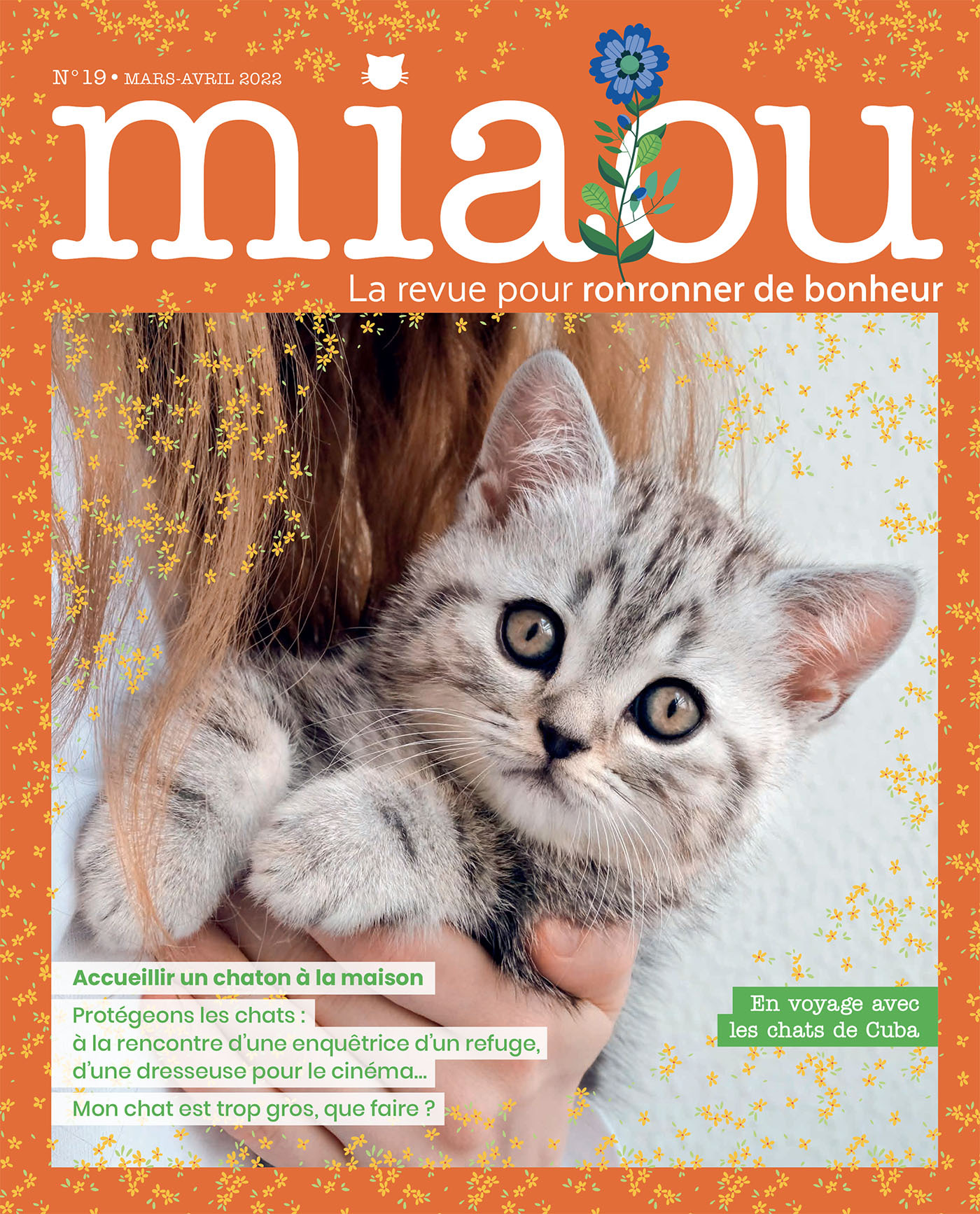 Miaou 19