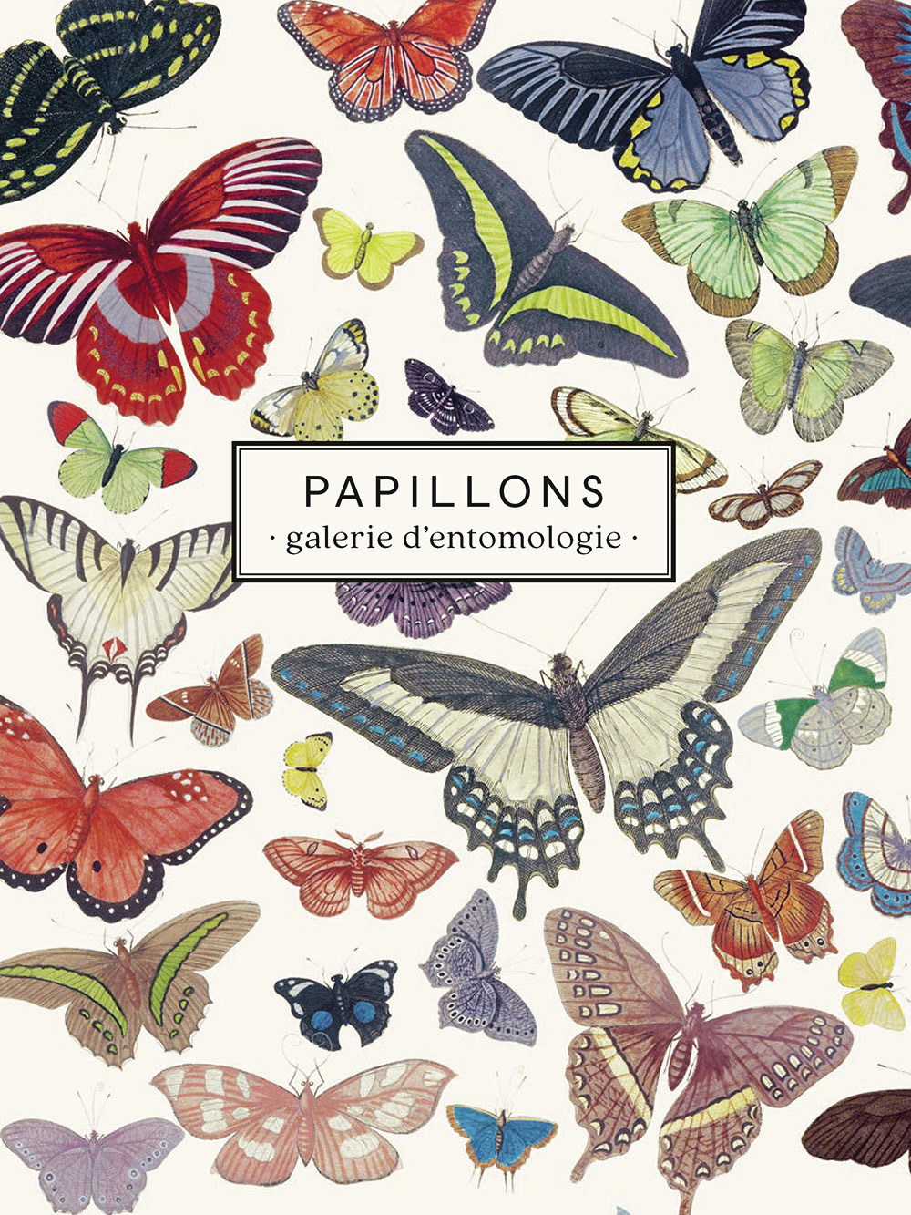 Carnet Papillons