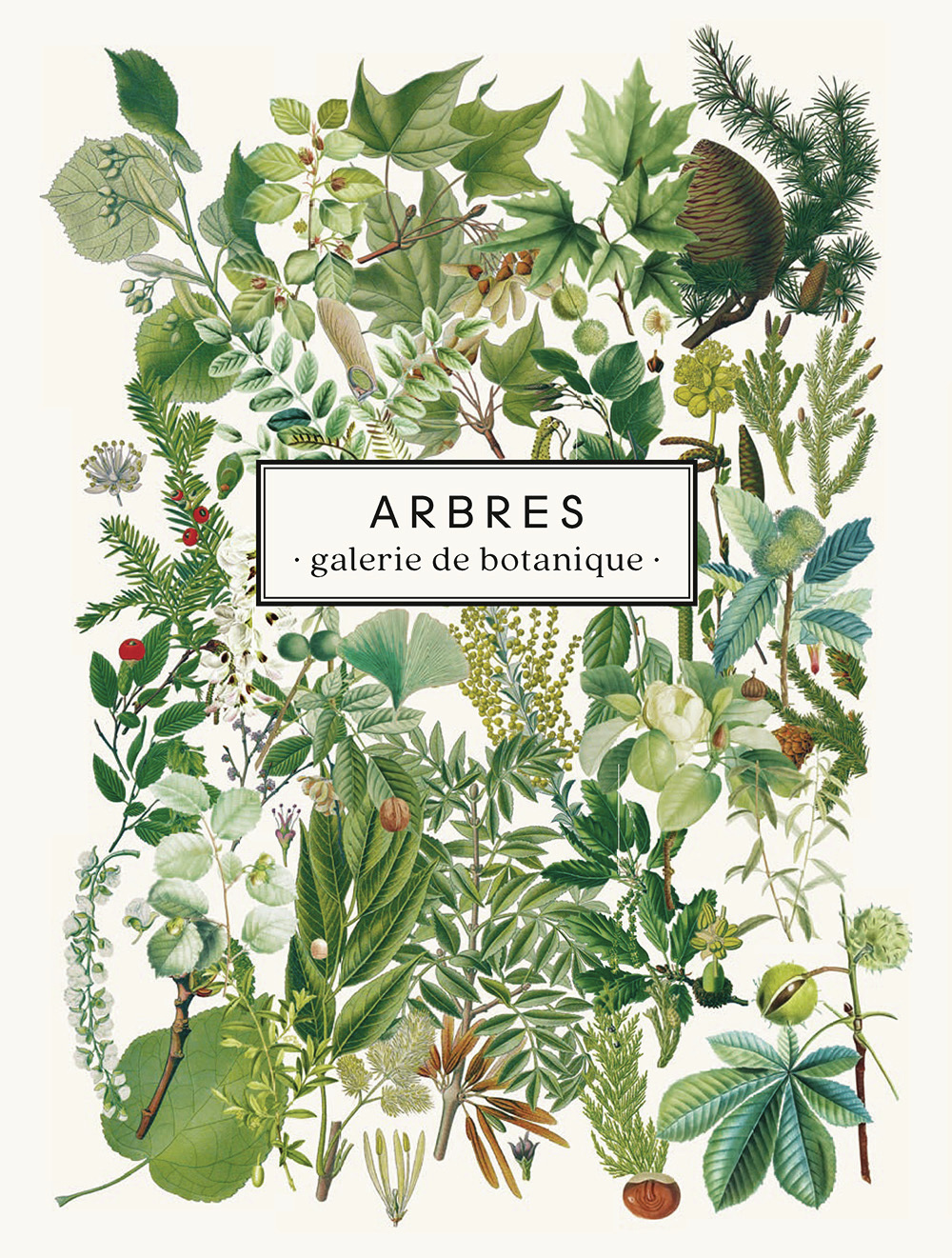 Carnet Arbres