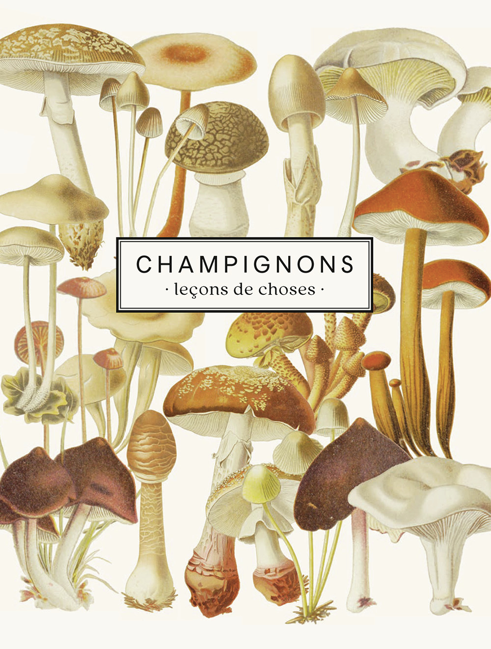 Carnet Champignons