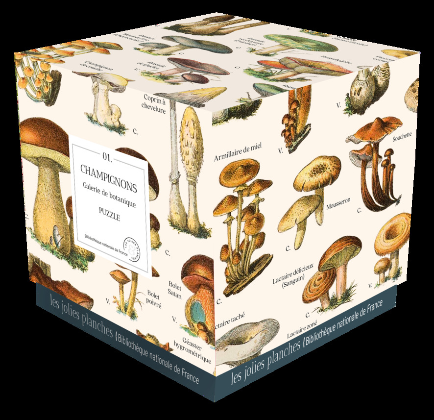 Puzzle Champignons 1000 pièces