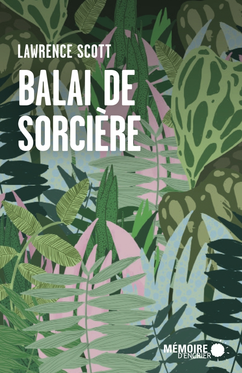 Balai de sorcière