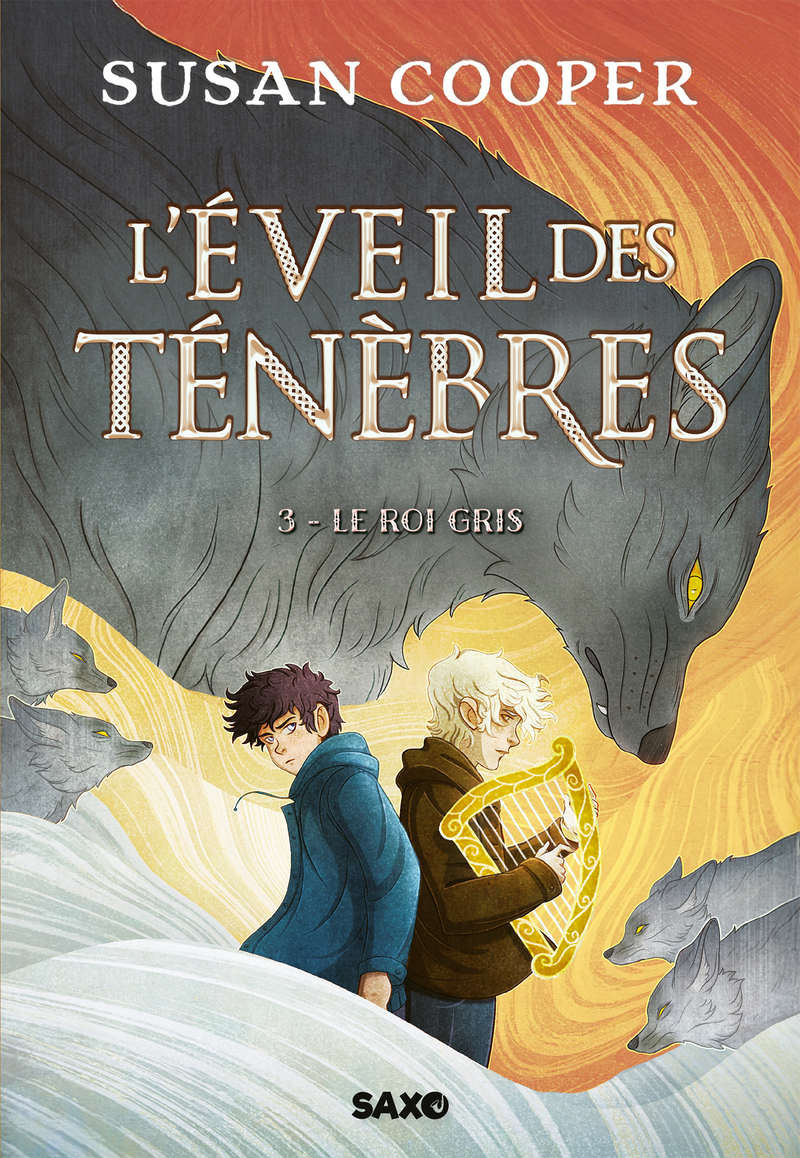 L'Éveil des Ténèbres - Tome 03 Le Roi Gris (broché)