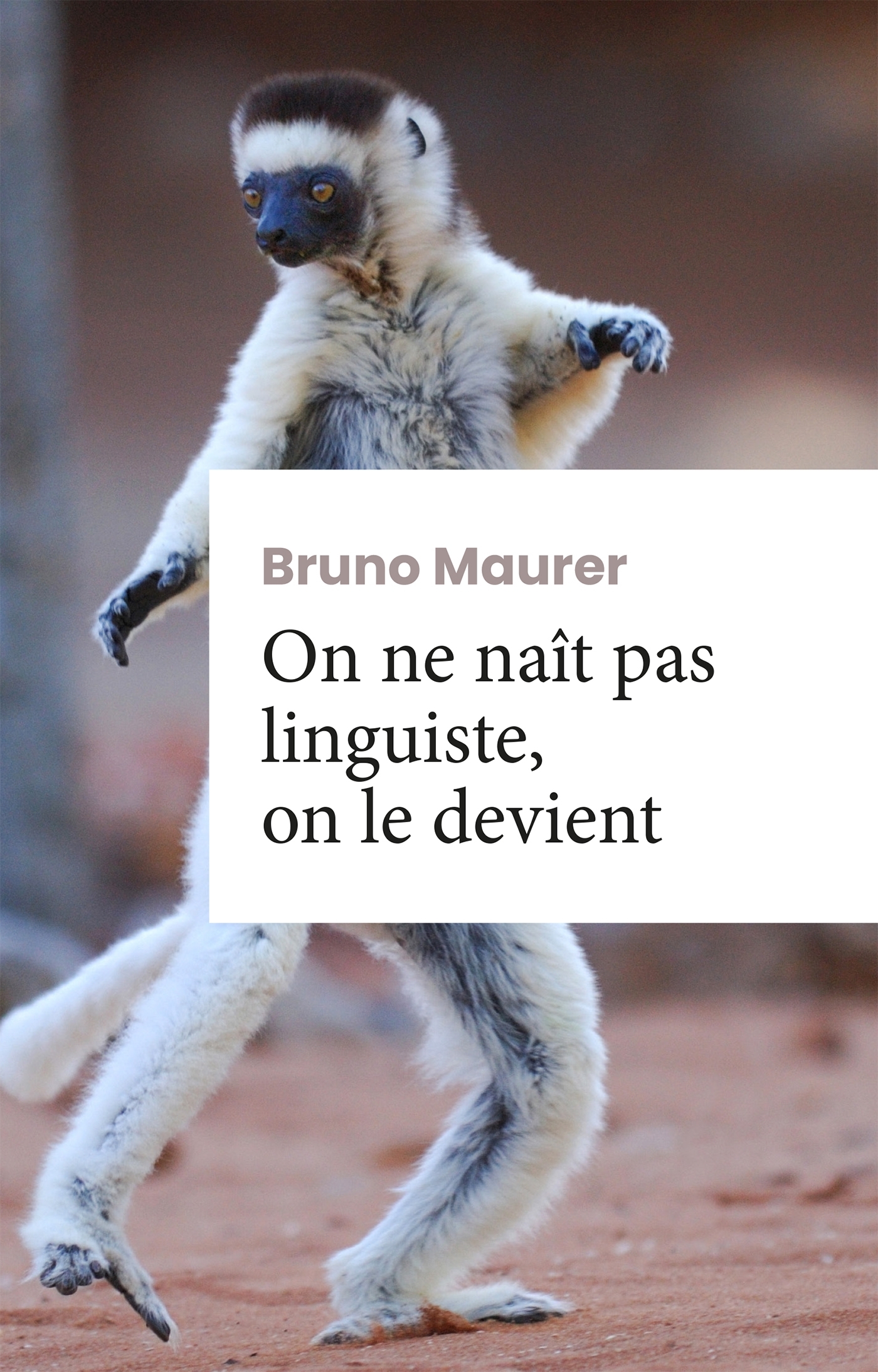 On ne naît pas linguiste, on le devient. Roman d'apprentissage.