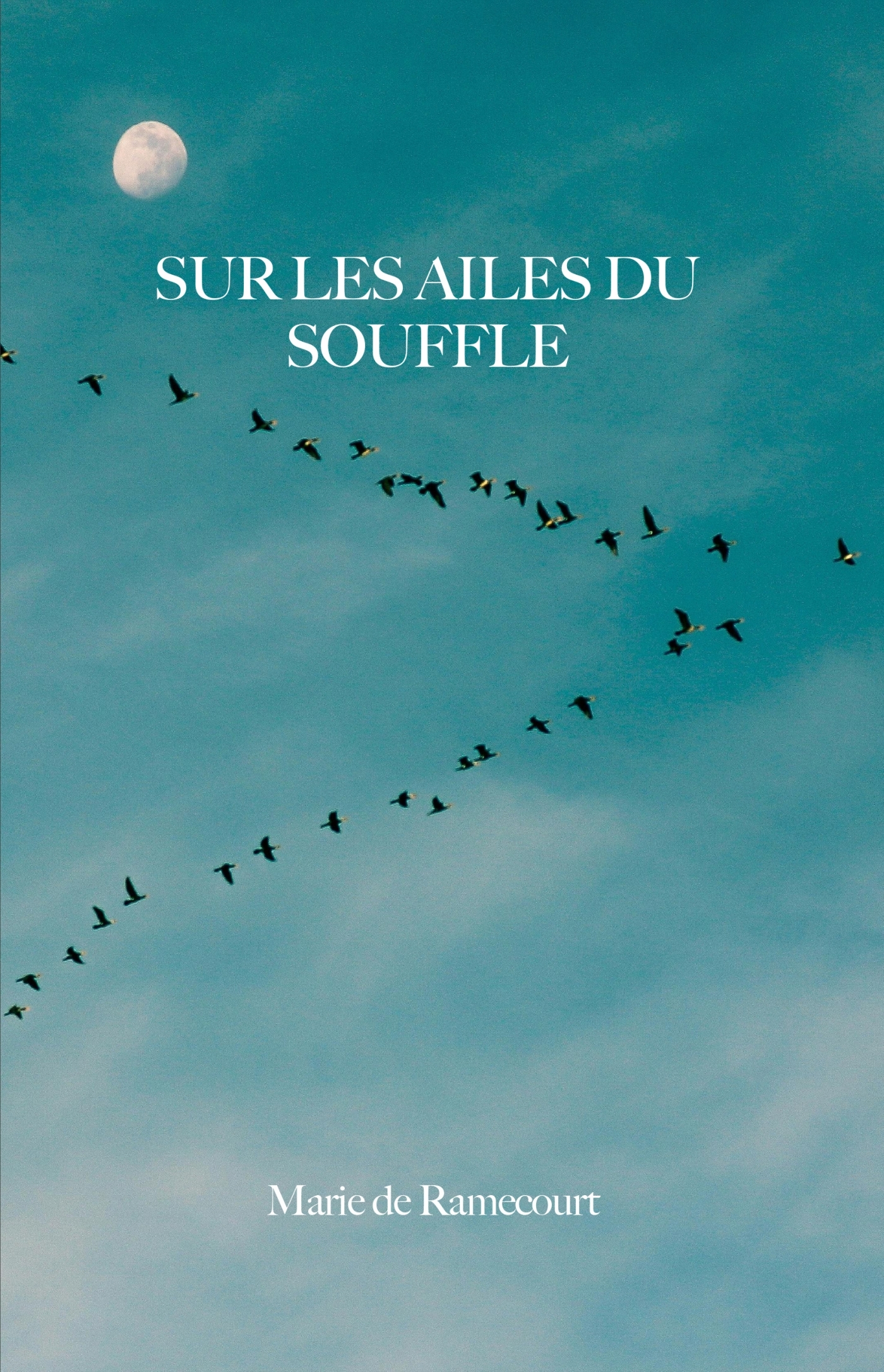 Sur les Ailes du Souffle
