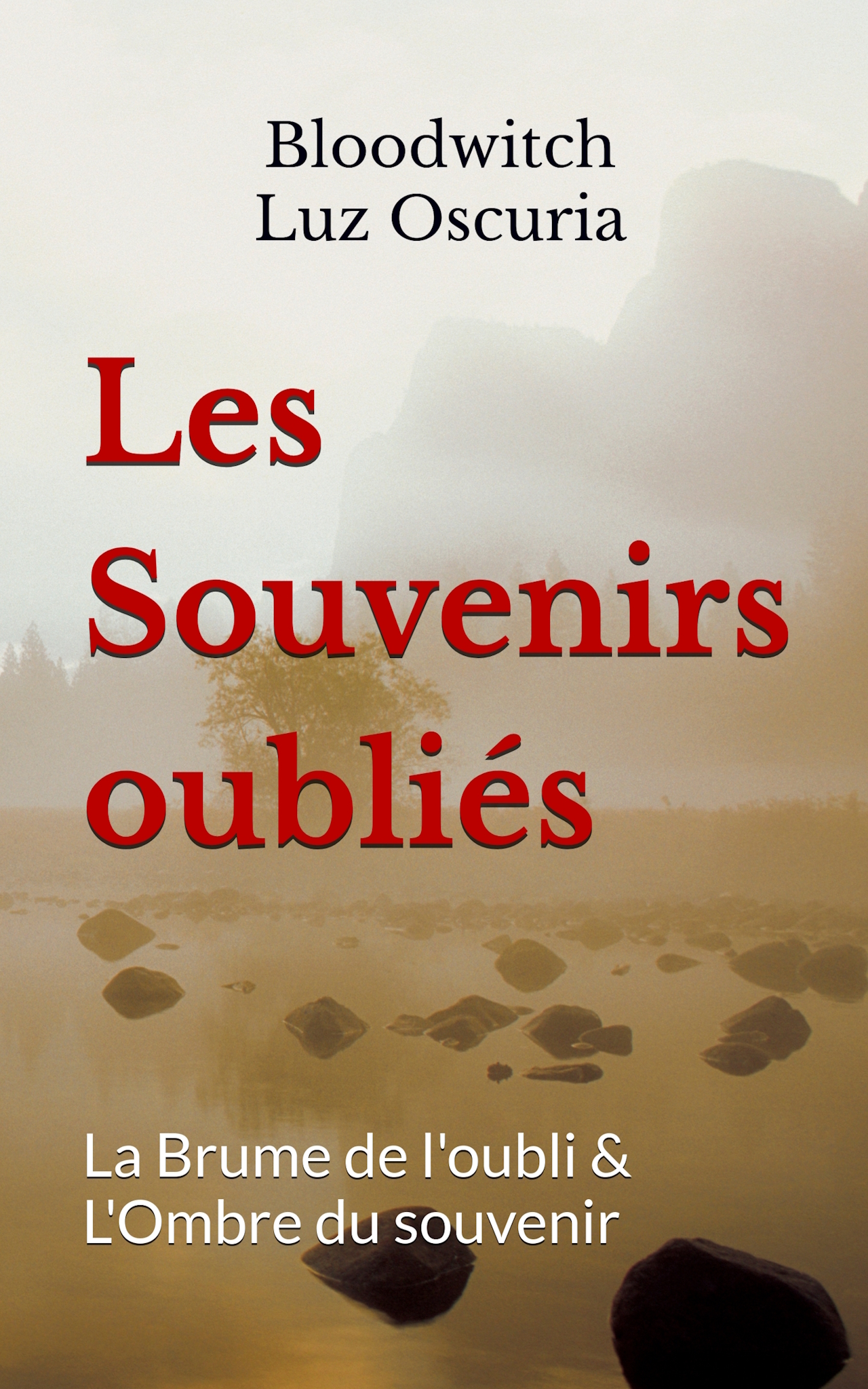 Les Souvenirs oubliés