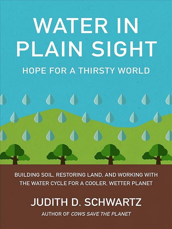 Water in Plain Sight