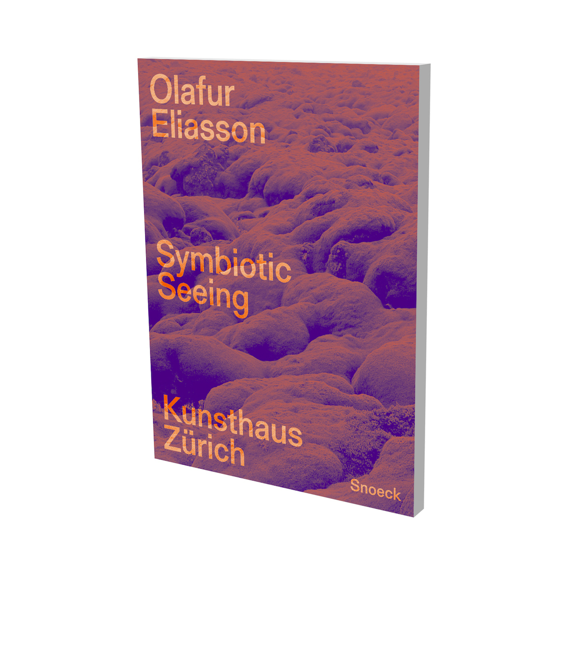 Olafur Eliasson. Symbiotic Seeing
