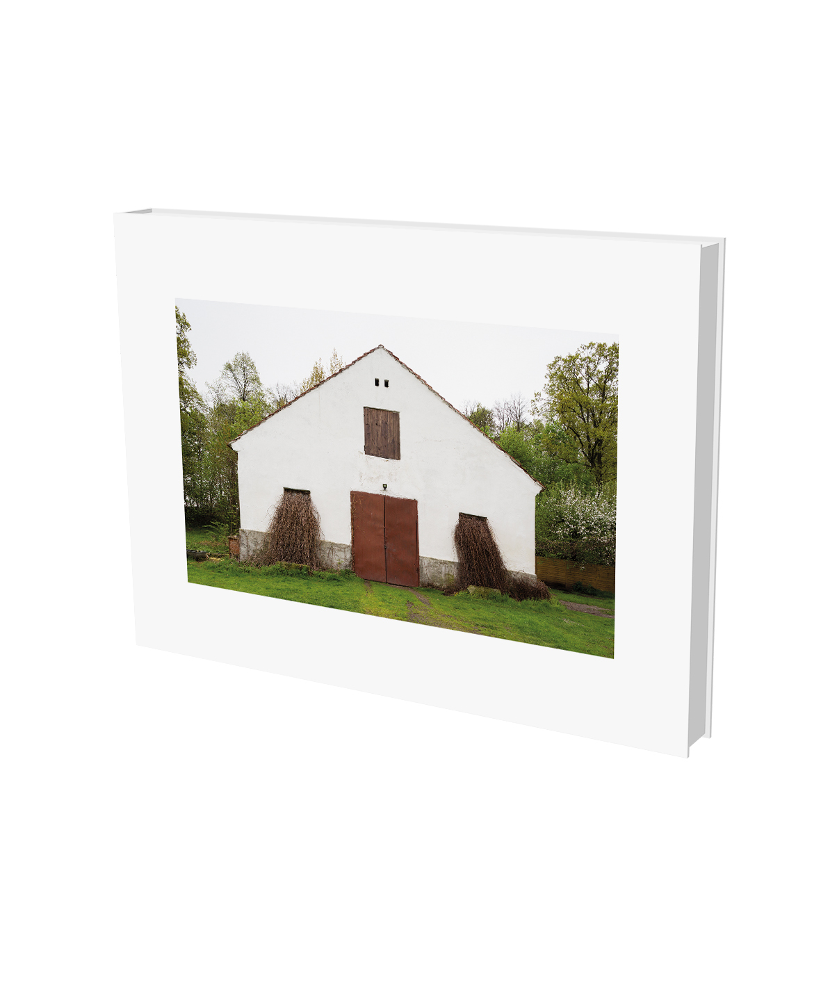 Pia Pollmanns. Die Wege der Elisa Kosch