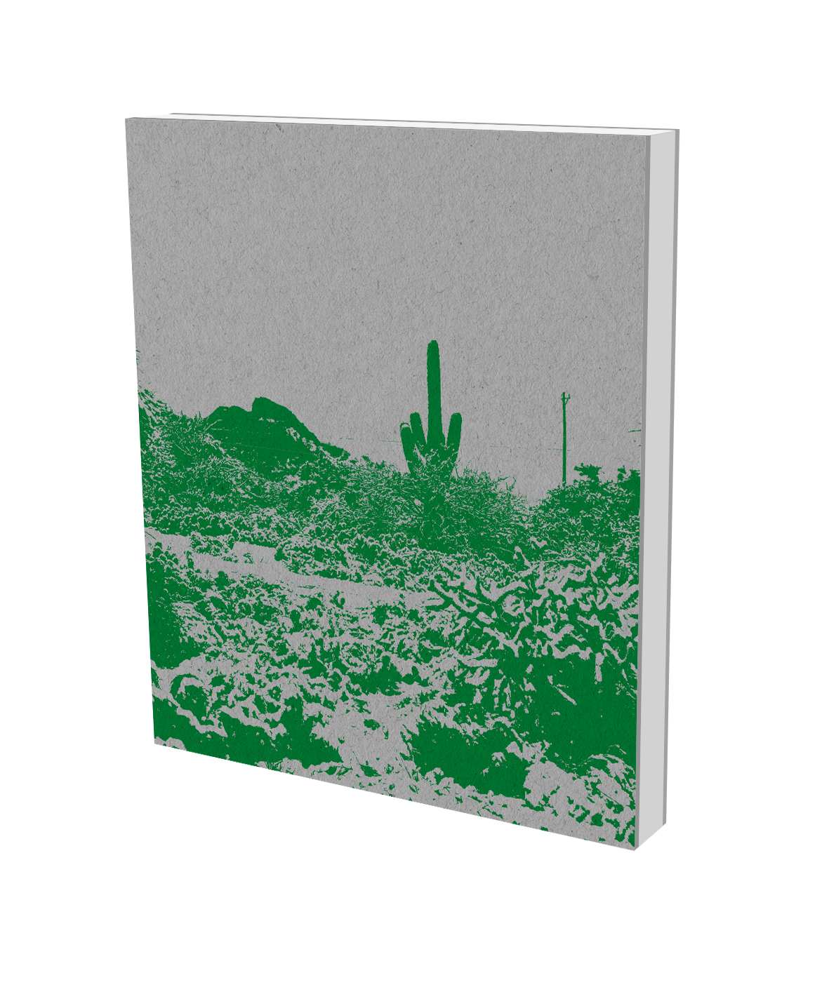 Olivier Mosset. TUTU