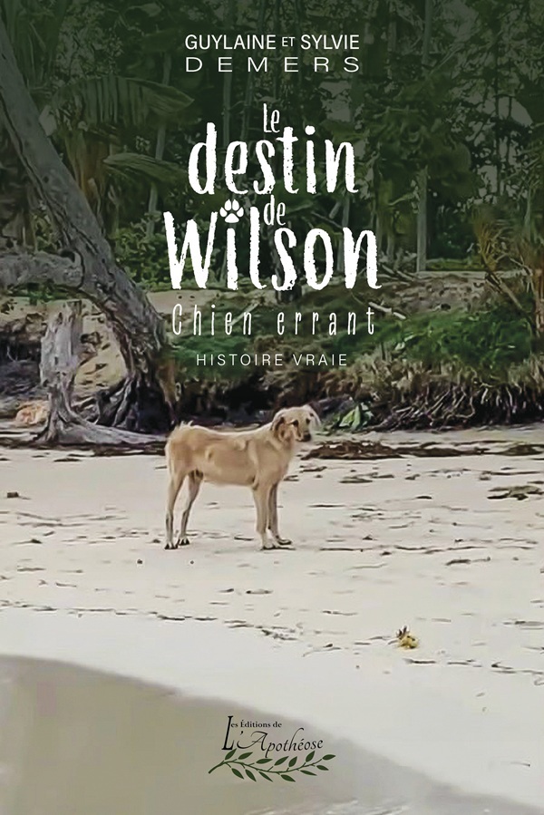 Le destin de Wilson