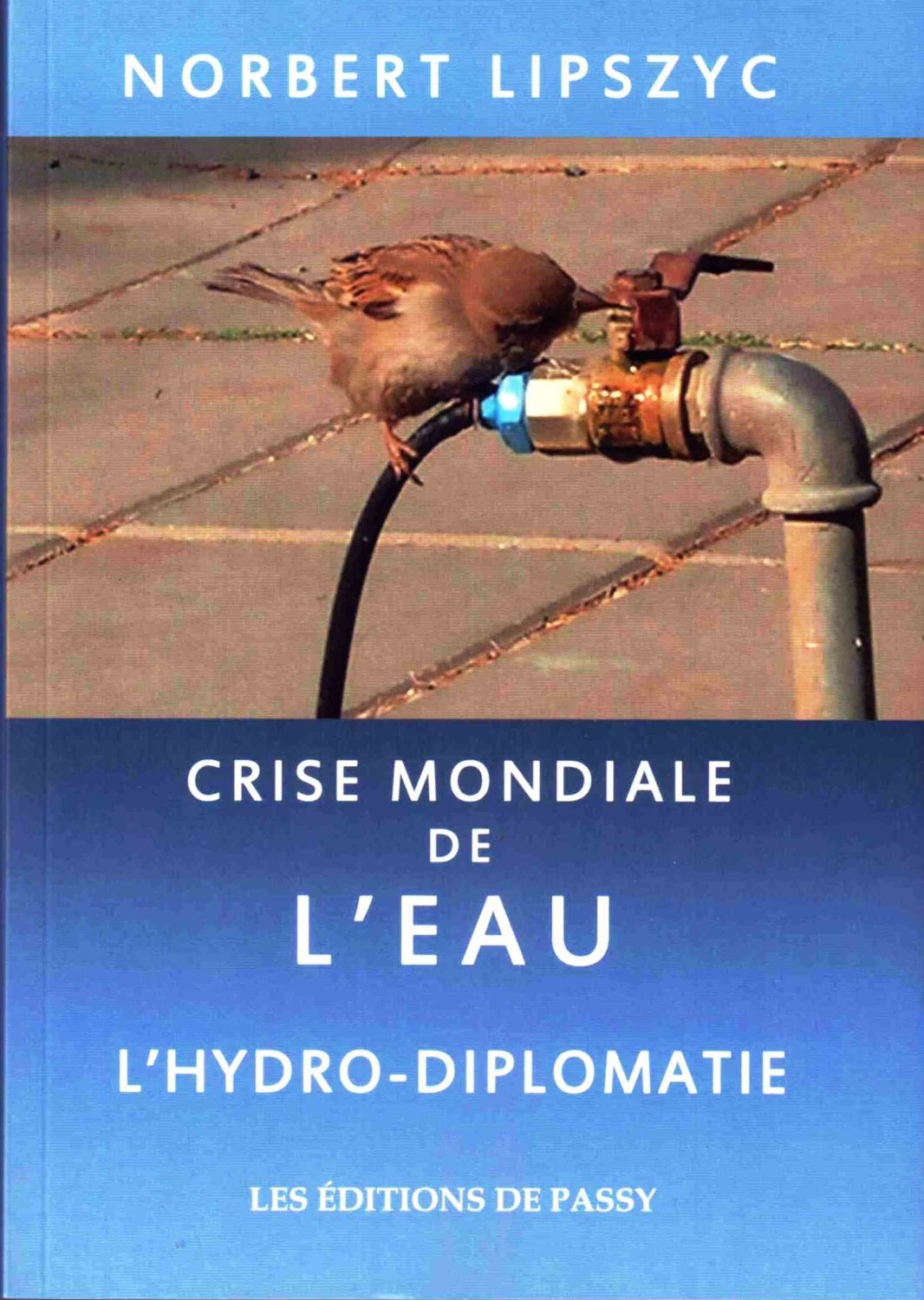CRISE MONDIALE DE L EAU  : L HYDRO DIPLOMATIE