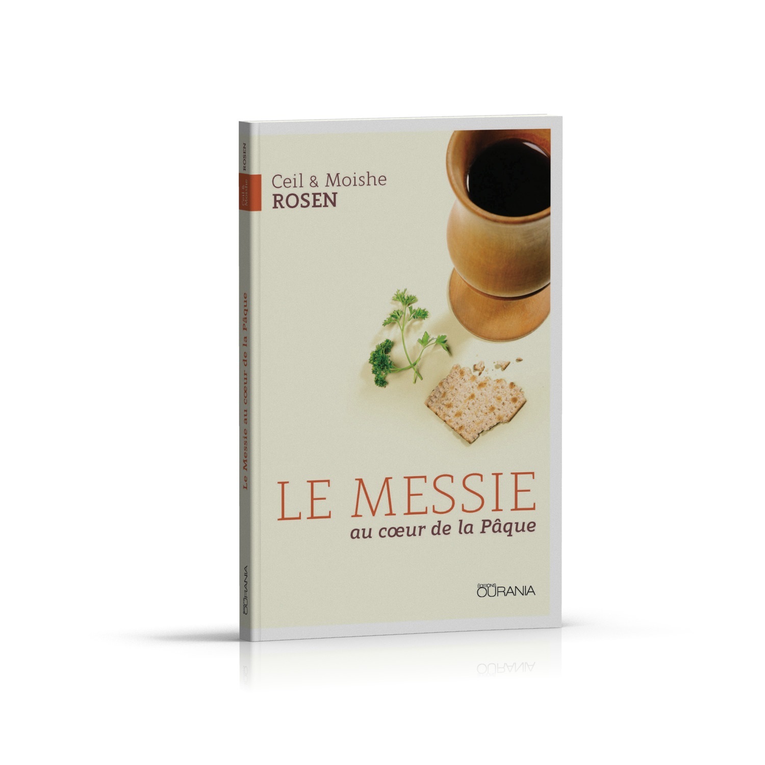 Le Messie au coeur de la Pâque