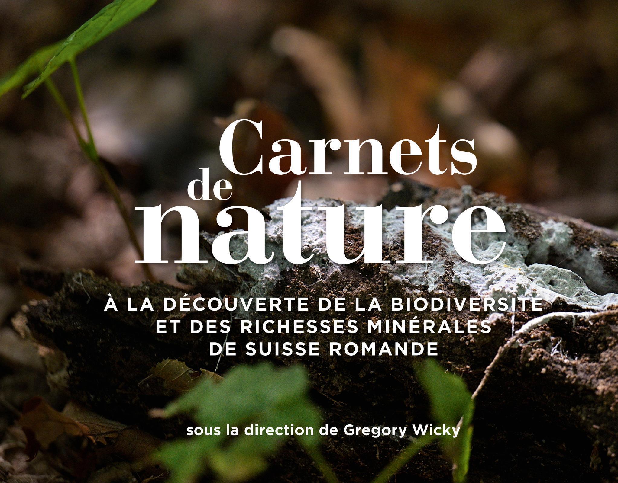 Carnets de nature