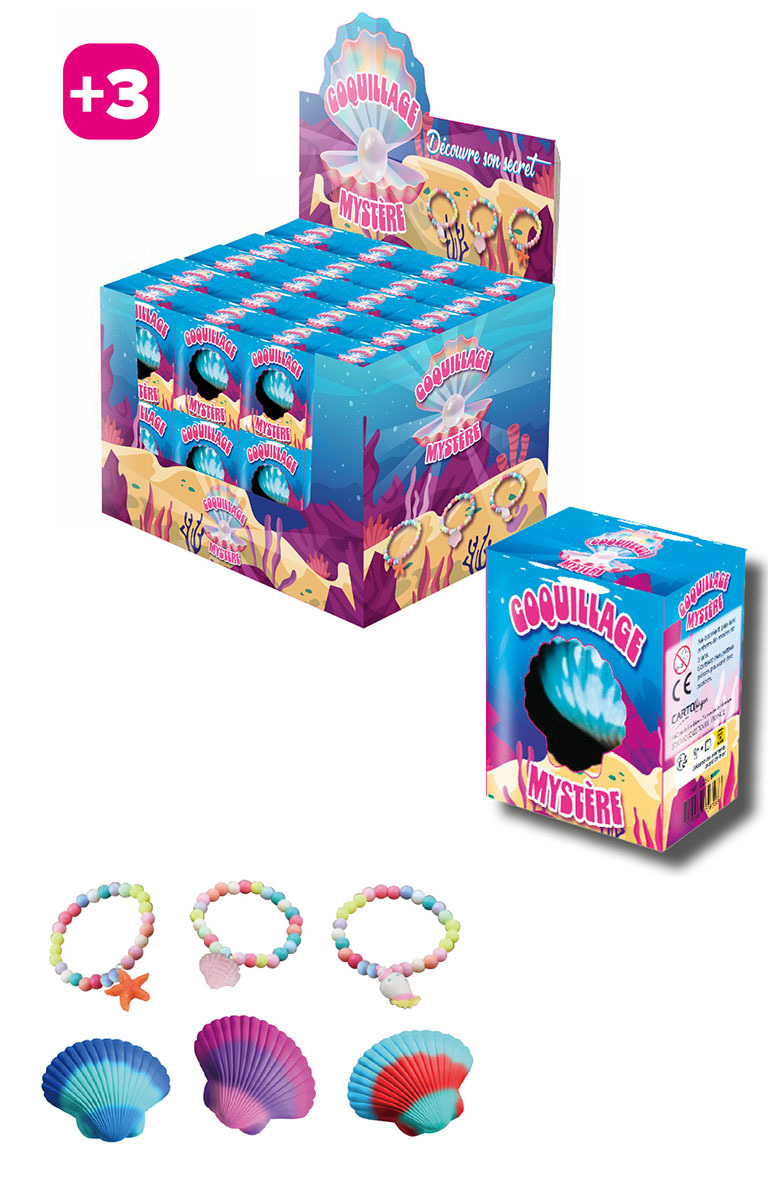DISPLAY 24 COQUILLAGES MYSTERE