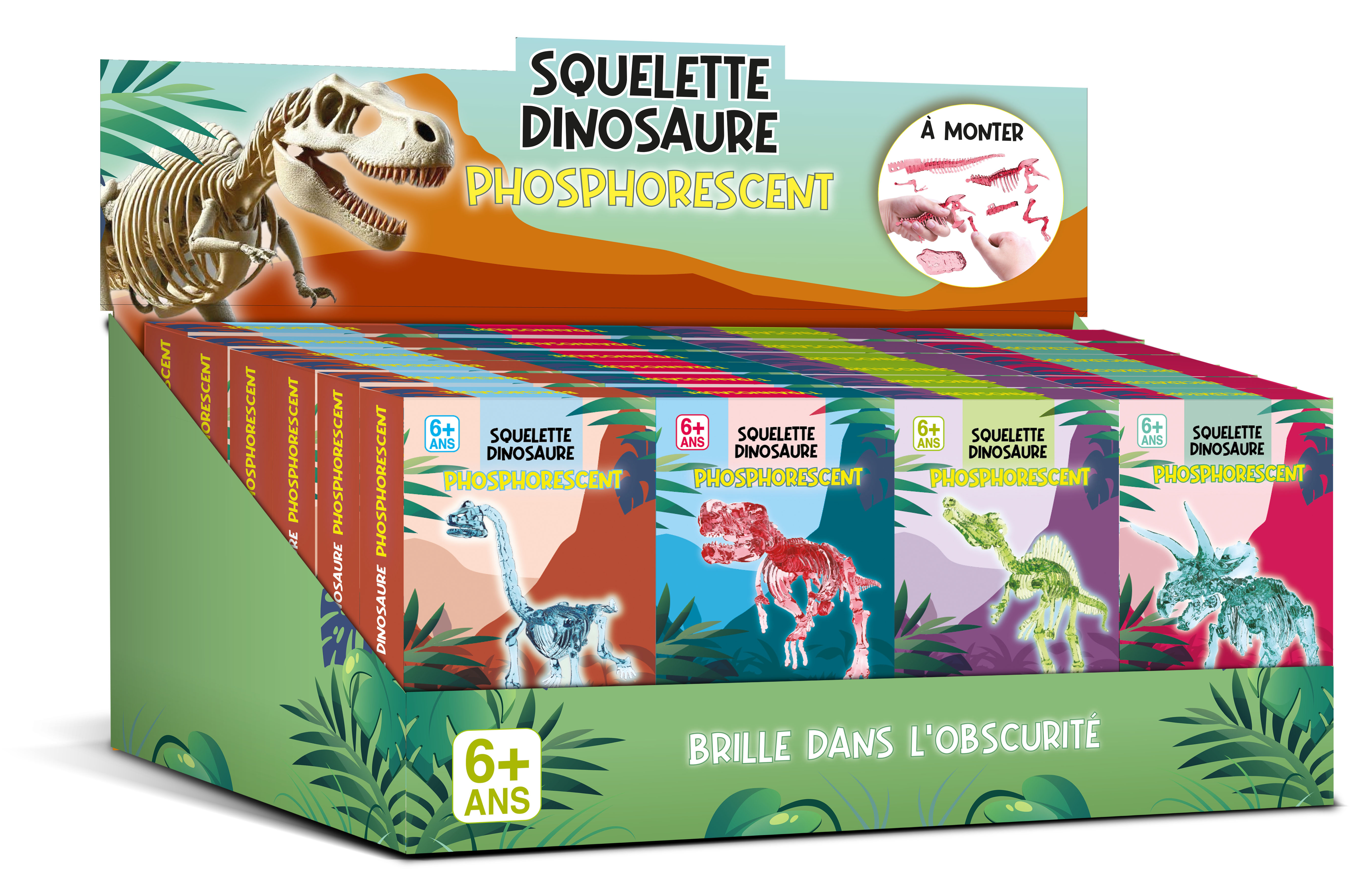 DISPLAY 24 MAQUETTES DINOSAURES PHOSPHORESCENTS (4 MODELES/6 EX.)