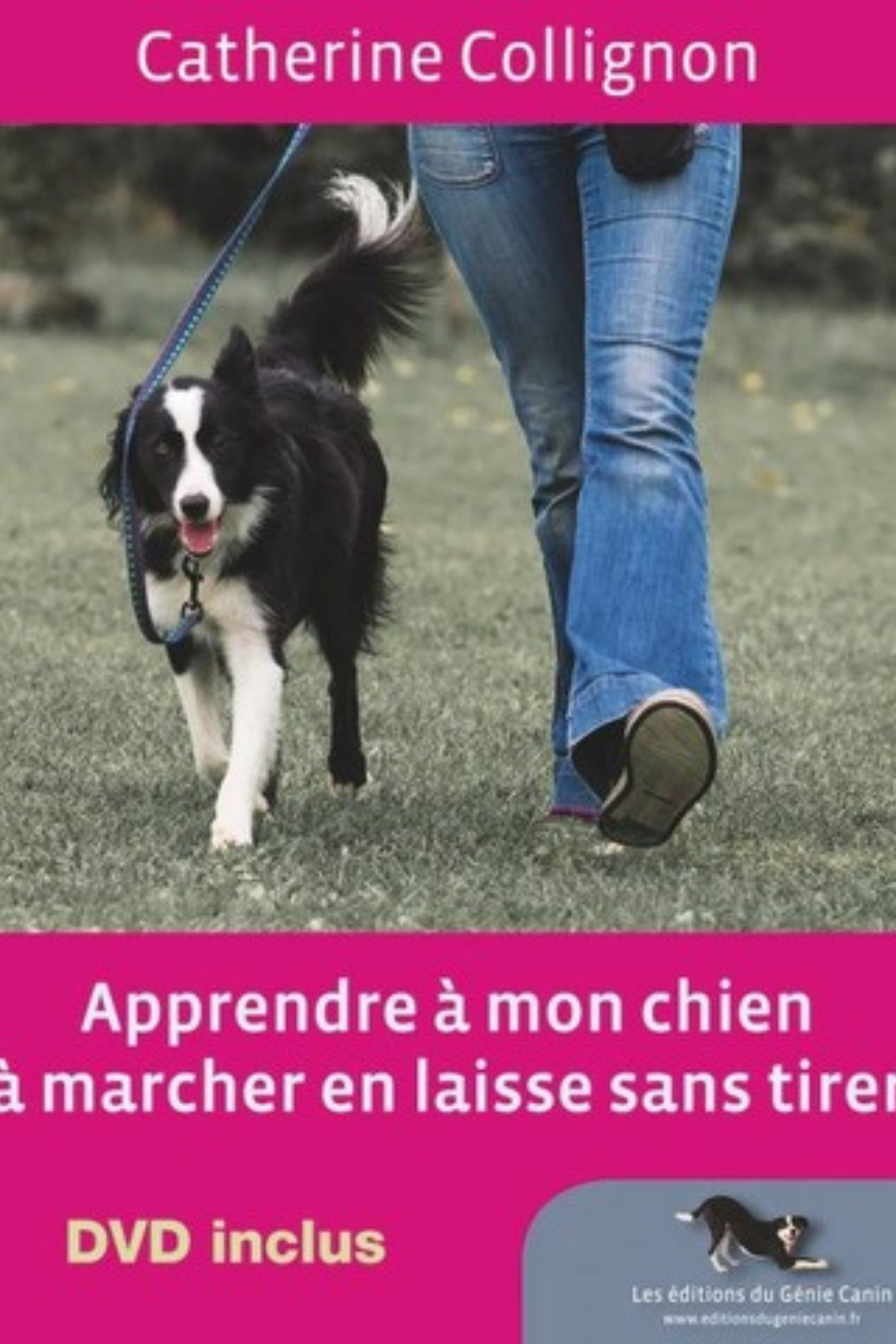 Apprendre à mon chien à marcher en laisse sans tirer
