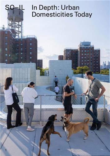 SO-IL In Depth /anglais