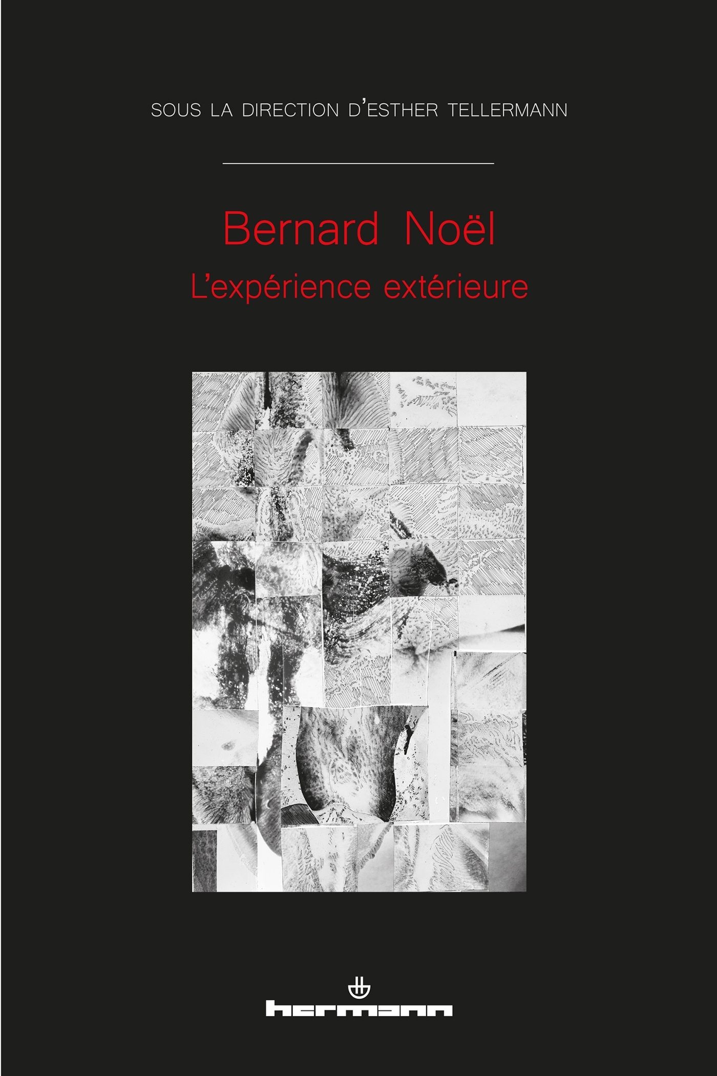 Bernard Noël