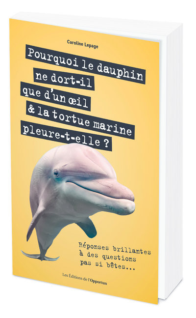 Pourquoi le dauphin ne dort-il que d'un oeil &amp; la tortue marine pleure-t-elle ? - Réponses brillante